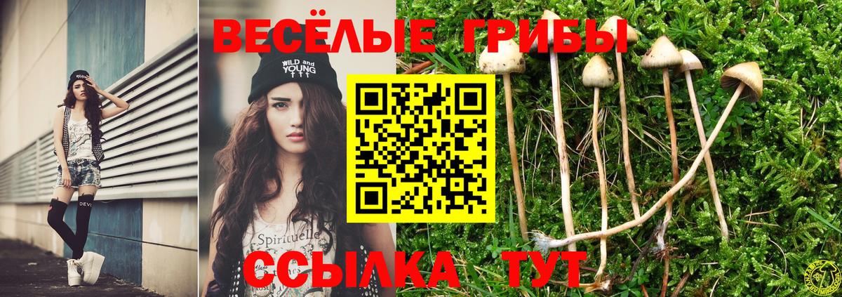Печора  Псилоцибиновые грибы Psilocybine cubensis  Вход с VPN 